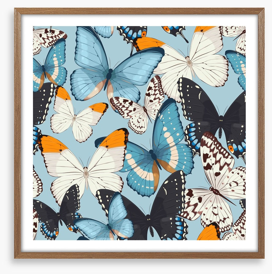 Butterflies