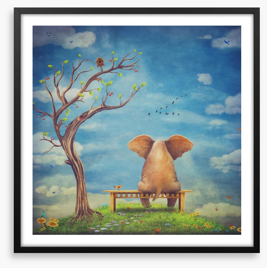 Elephant in the glade
