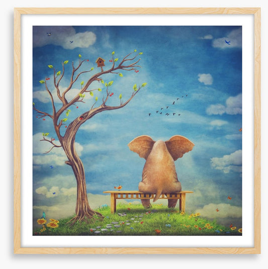 Elephant in the glade