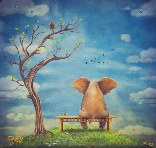 Elephant in the glade