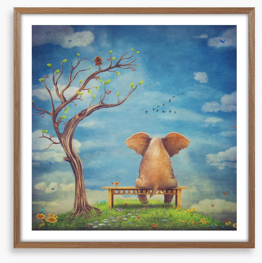 Elephant in the glade