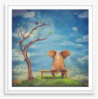 Elephant in the glade
