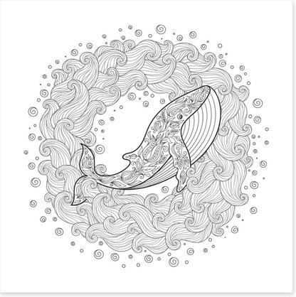 Colour me whale waves