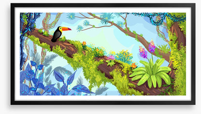 Toucan in the tree