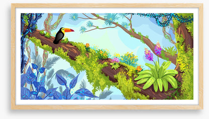 Toucan in the tree