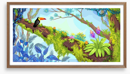 Toucan in the tree