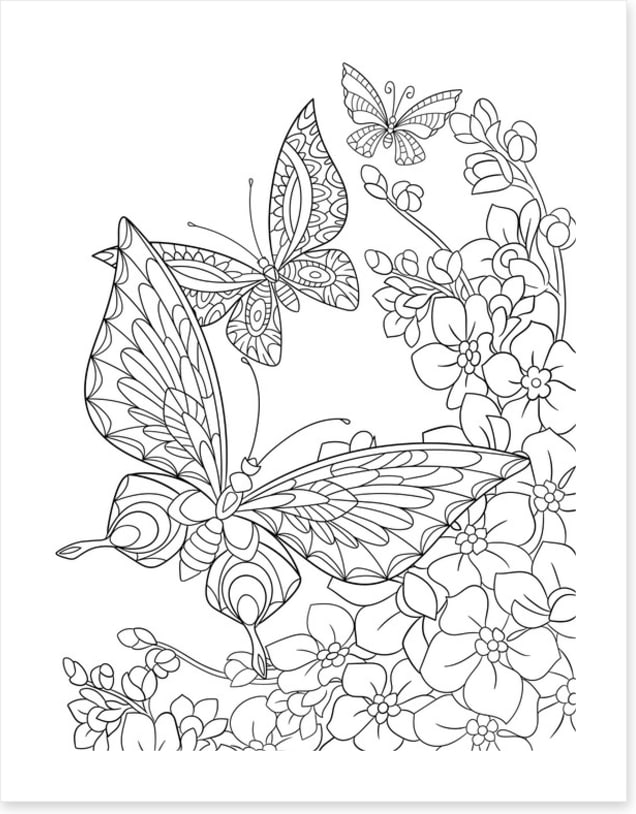 Colour me butterflies