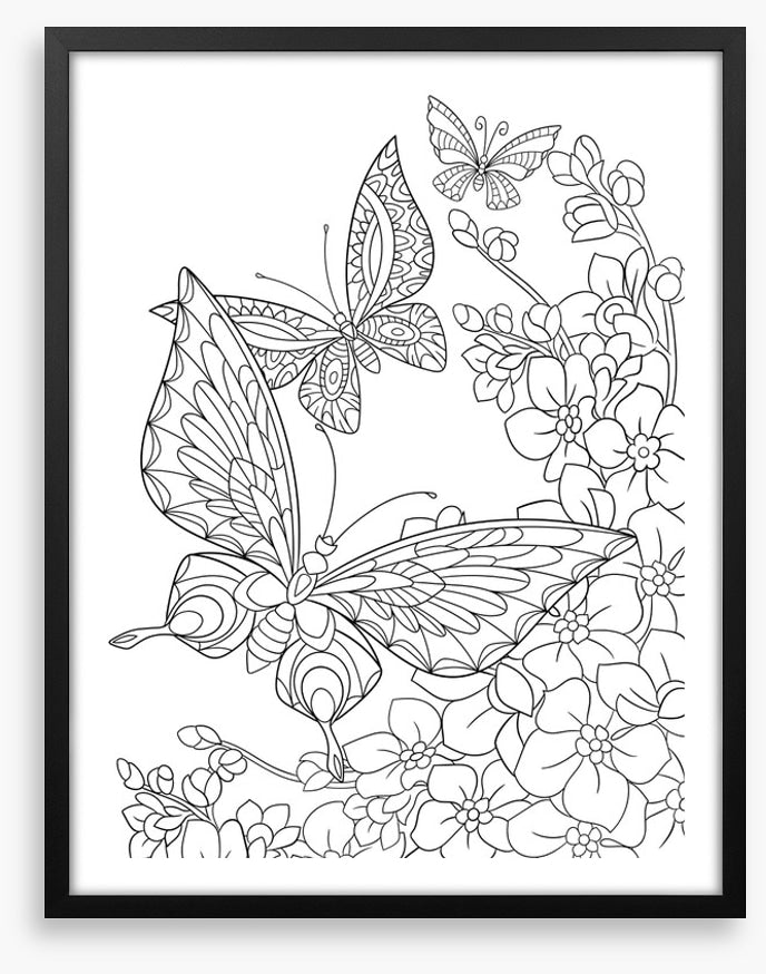 Colour me butterflies