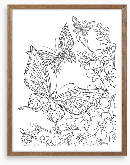 Colour me butterflies
