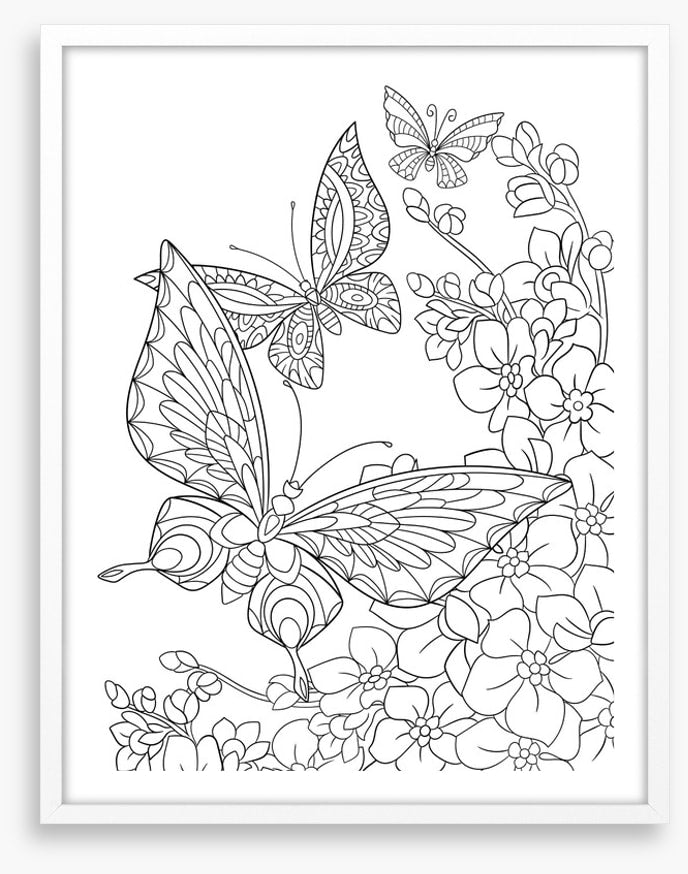 Colour me butterflies