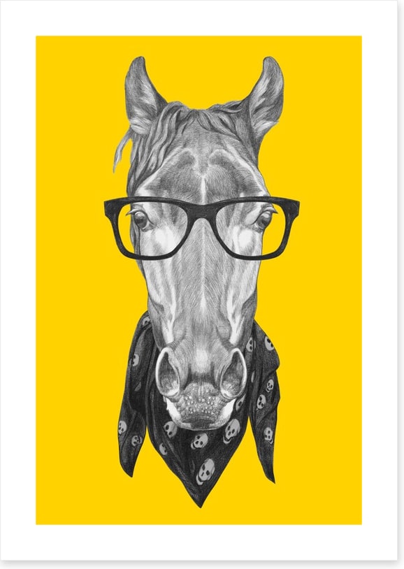 Hipster horse