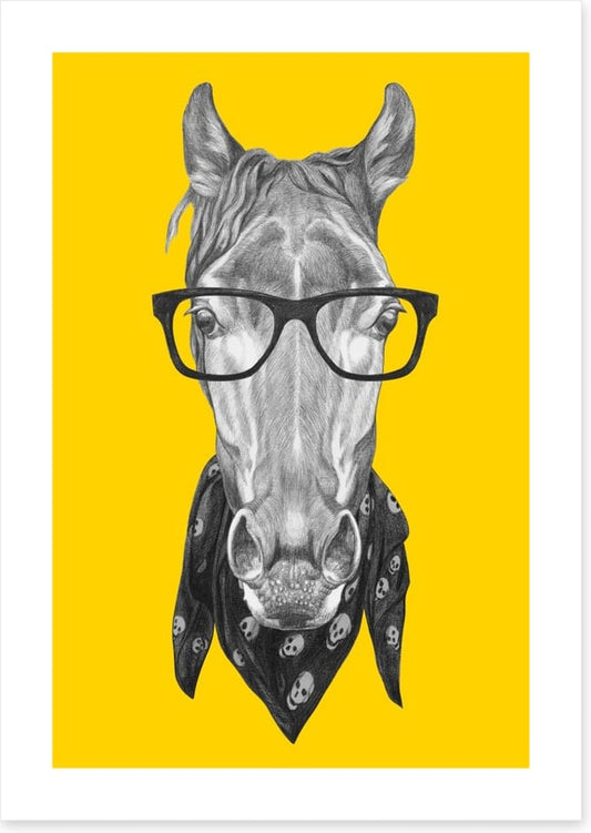 Hipster horse