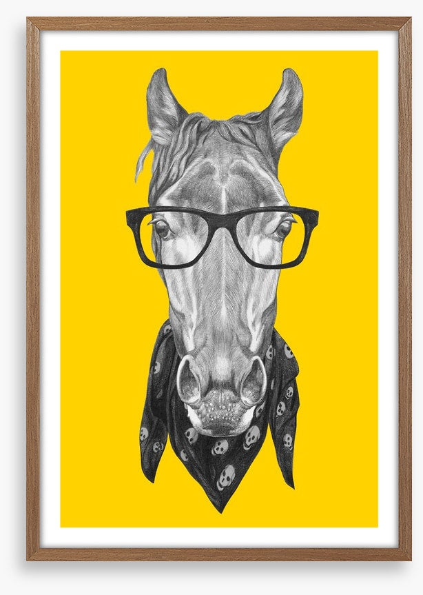 Hipster horse