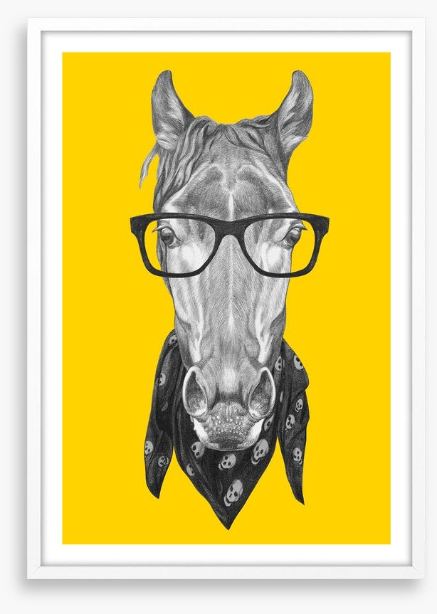 Hipster horse