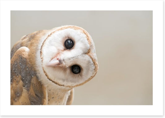 I'll be watching you