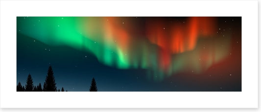 The Northern Lights