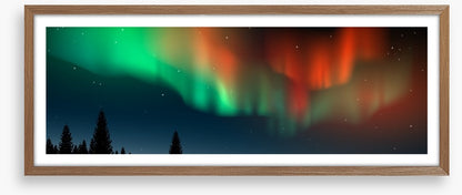 The Northern Lights