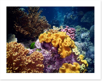 Underwater