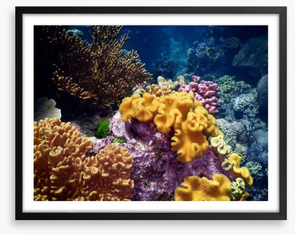 Underwater