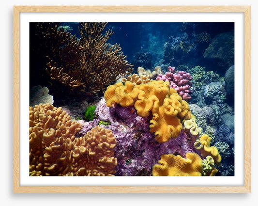 Underwater