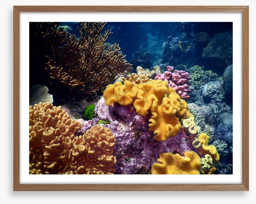 Underwater