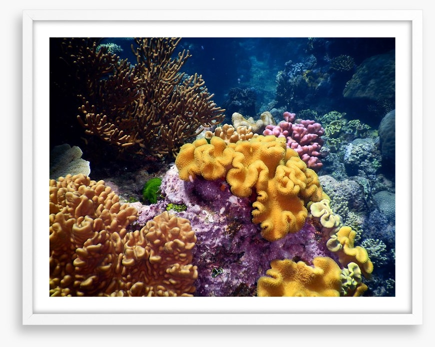 Underwater