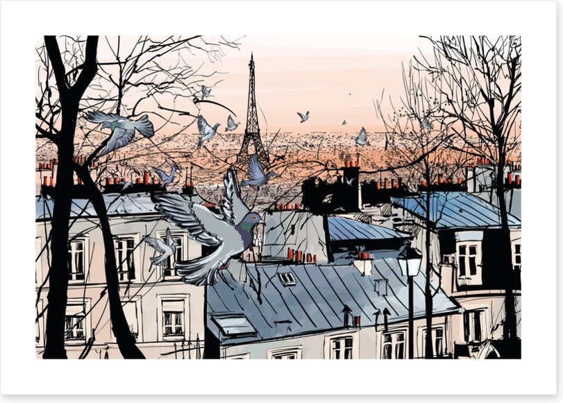 Pigeons of Montmartre
