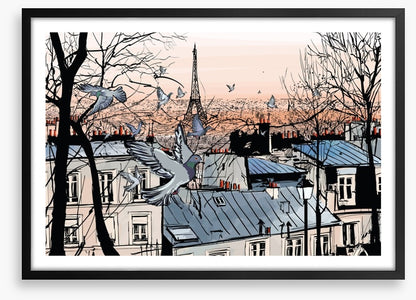 Pigeons of Montmartre