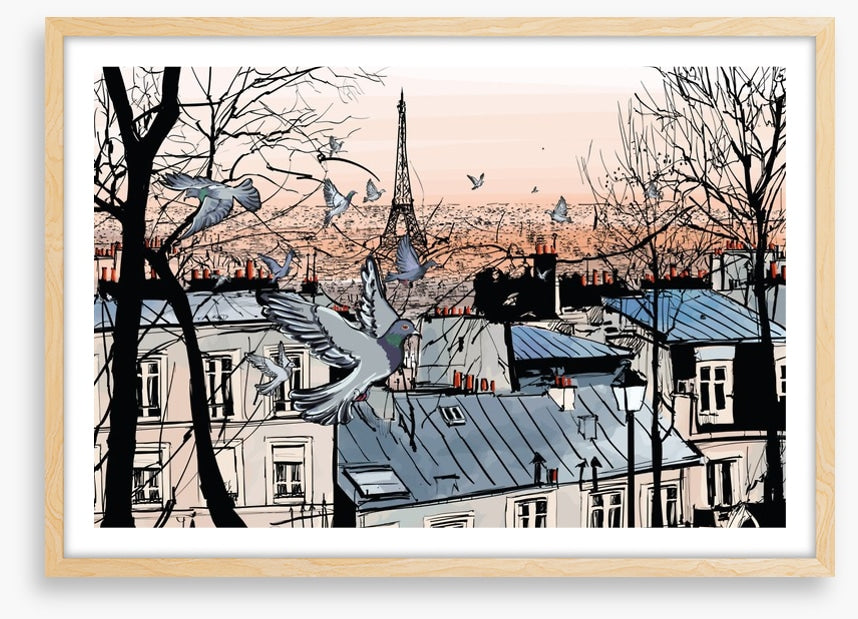 Pigeons of Montmartre