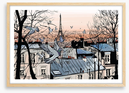 Pigeons of Montmartre