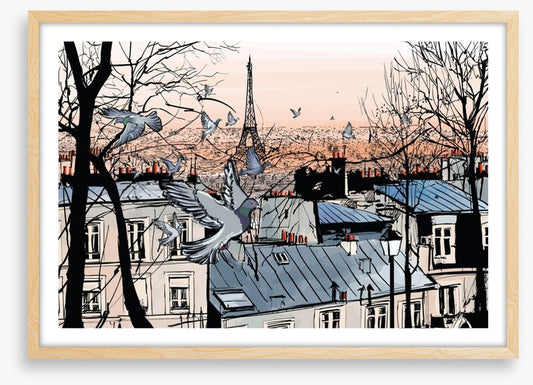 Pigeons of Montmartre