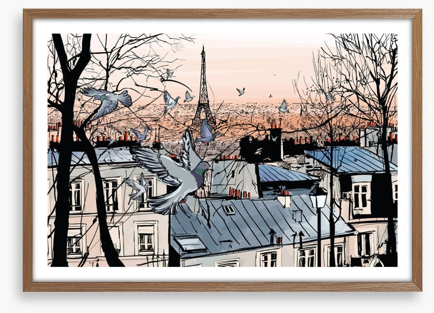 Pigeons of Montmartre