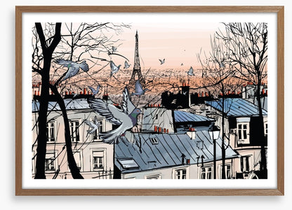 Pigeons of Montmartre