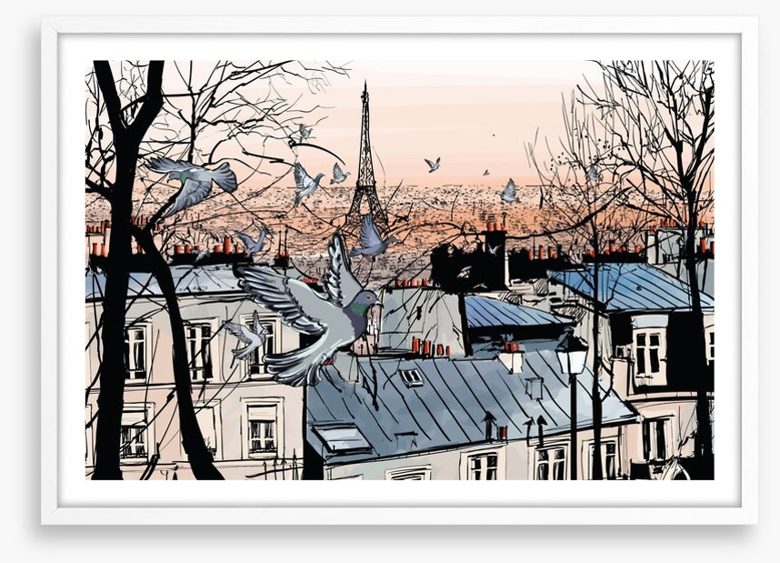 Pigeons of Montmartre