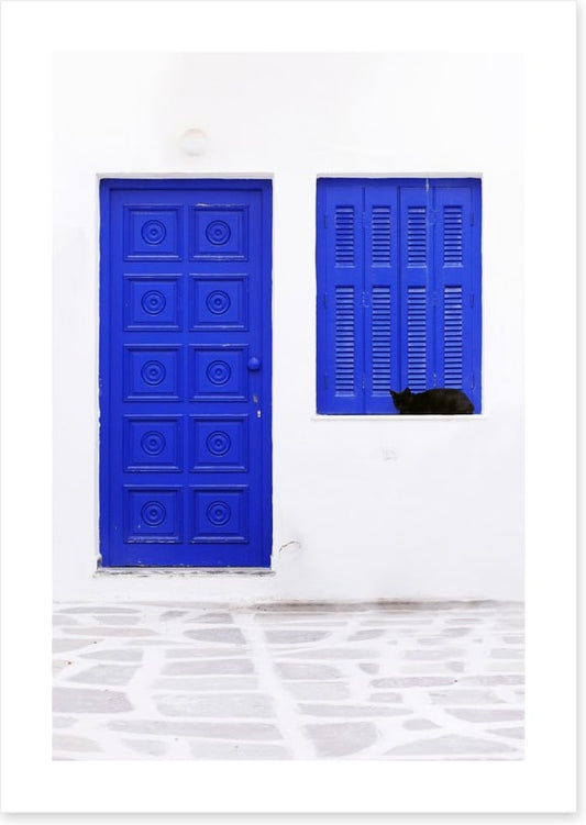 Blue window cat
