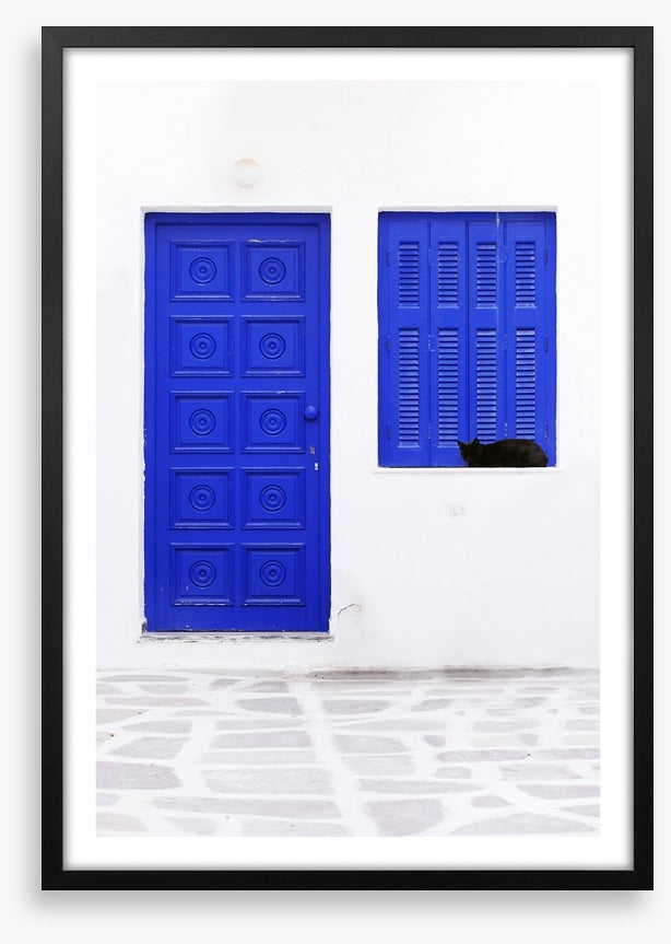 Blue window cat