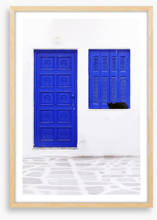 Blue window cat