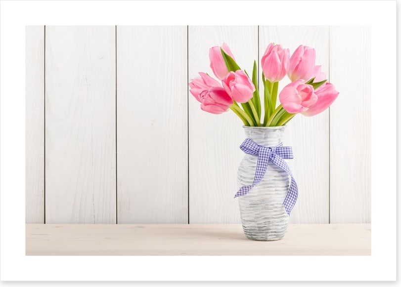 Tranquil pink tulips