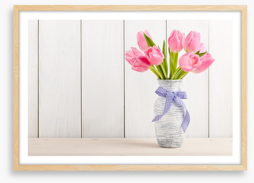 Tranquil pink tulips