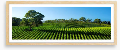 Adelaide