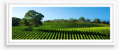 Adelaide