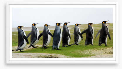 Eight kings