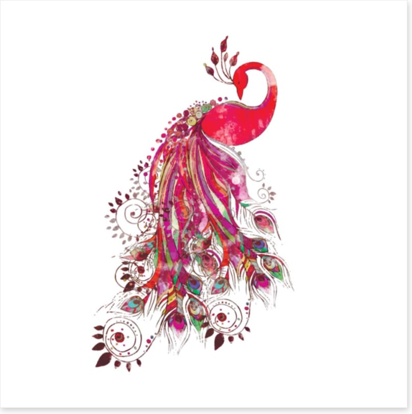 Peacock in fuchsia