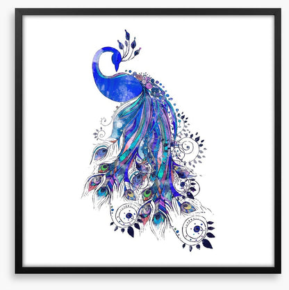 Peacock in ultramarine