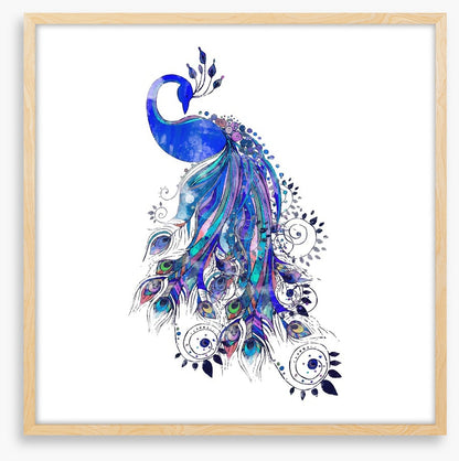 Peacock in ultramarine