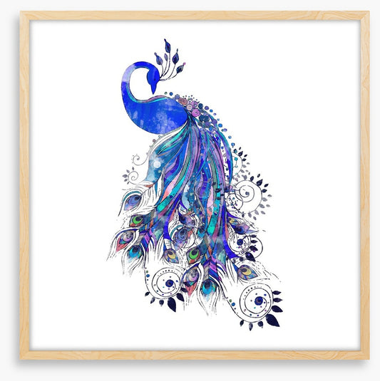 Peacock in ultramarine