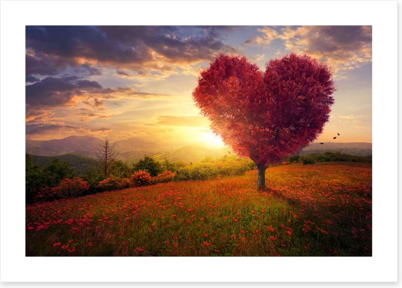 Meadow with the love heart tree
