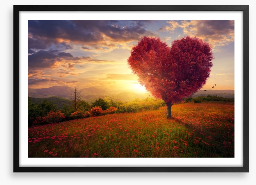 Meadow with the love heart tree