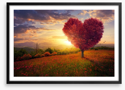 Meadow with the love heart tree