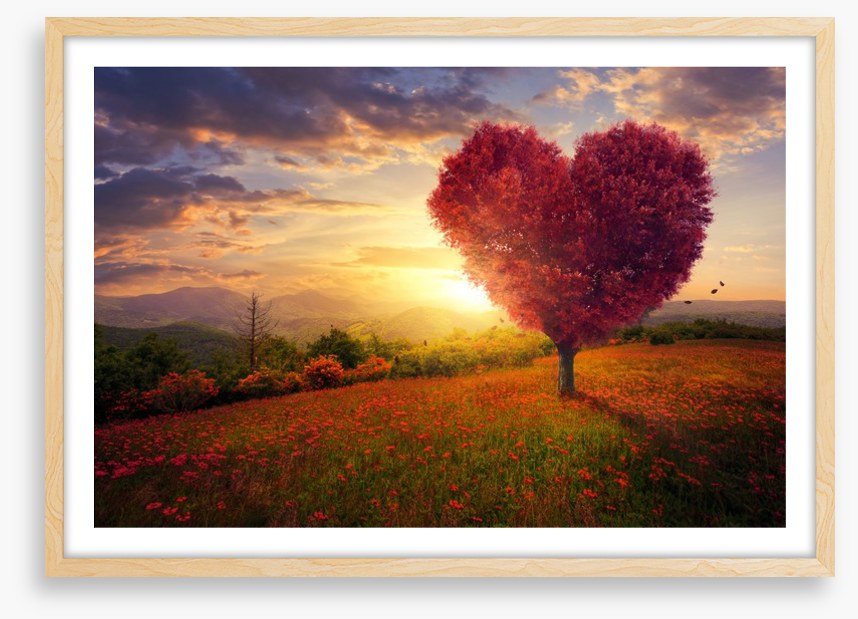 Meadow with the love heart tree